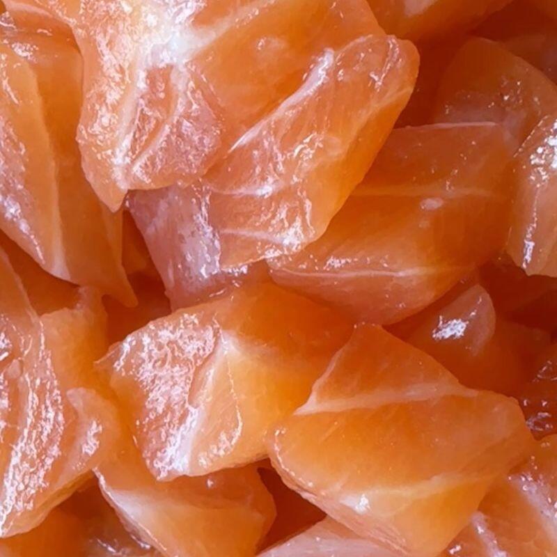 Salmon
