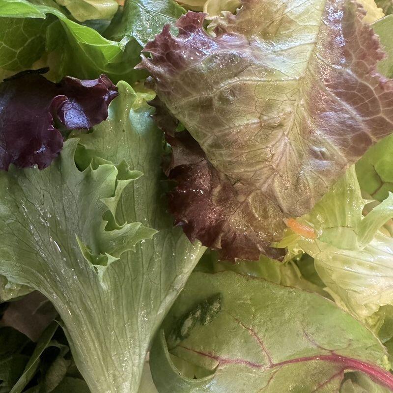 Vegetarian